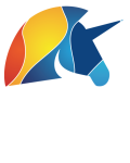 logo-silicon-plan-w